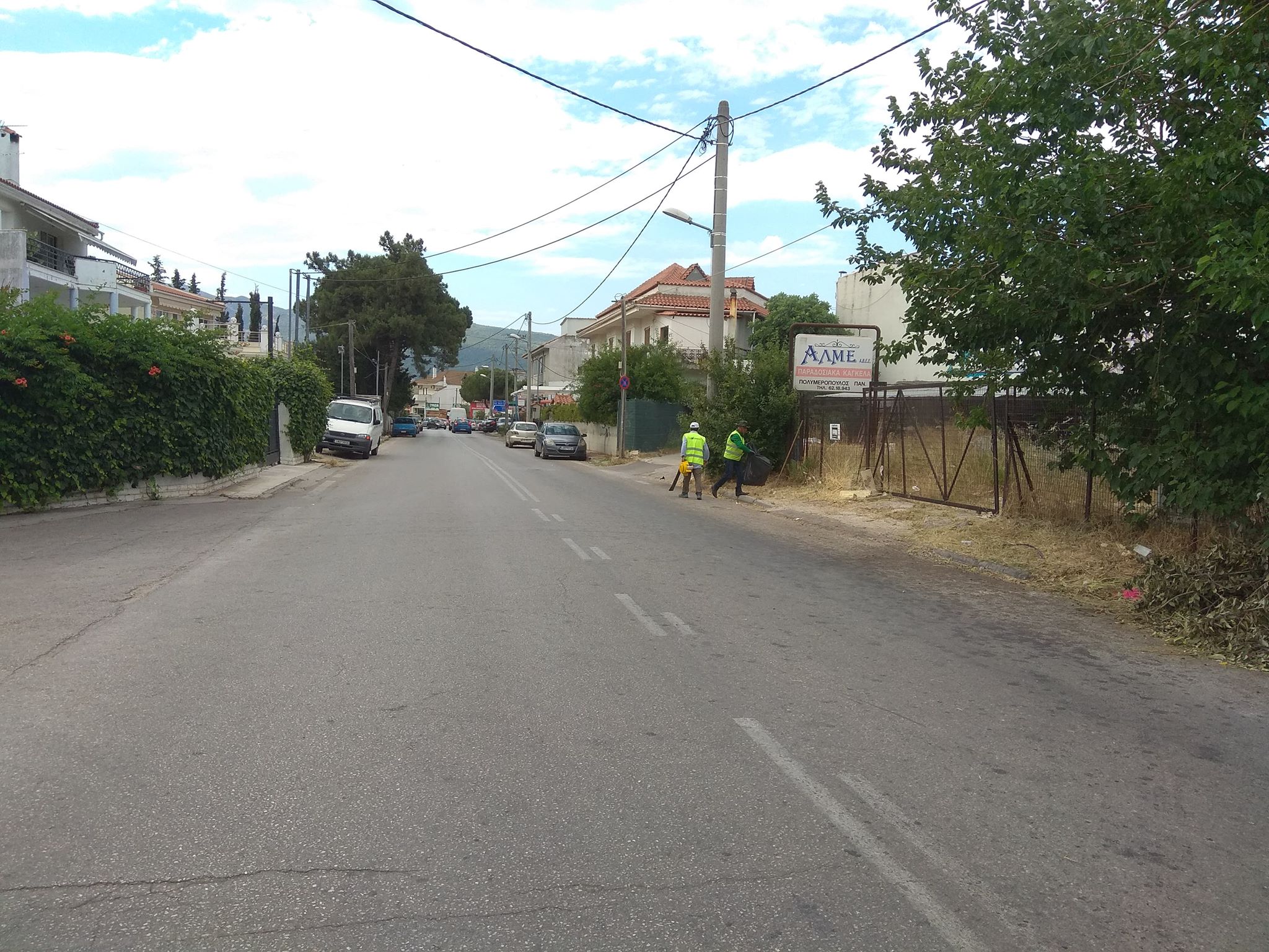 Ανάθεση εργασιών αποψίλωσης και καθαρισμού βλάστησης και εύφλεκτης ύλης από νησίδες, πρανή και ερείσματα εκατέρωθεν οδικών αξόνων του οδικού δικτύου αρμοδιότητας της Δ/νσης τεχνικών έργων περιφέρειας Αττικής και της Δ/νσης Διαχείρισης Μητροπολιτικών Υποδομών περιφέρειας Αττικής
