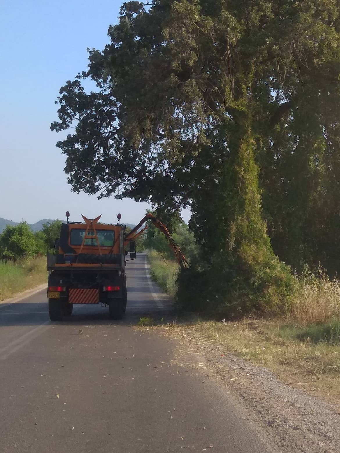 Ανάθεση εργασιών αποψίλωσης και καθαρισμού βλάστησης και εύφλεκτης ύλης από νησίδες, πρανή και ερείσματα εκατέρωθεν οδικών αξόνων του οδικού δικτύου αρμοδιότητας της Δ/νσης τεχνικών έργων περιφέρειας Αττικής και της Δ/νσης Διαχείρισης Μητροπολιτικών Υποδομών περιφέρειας Αττικής