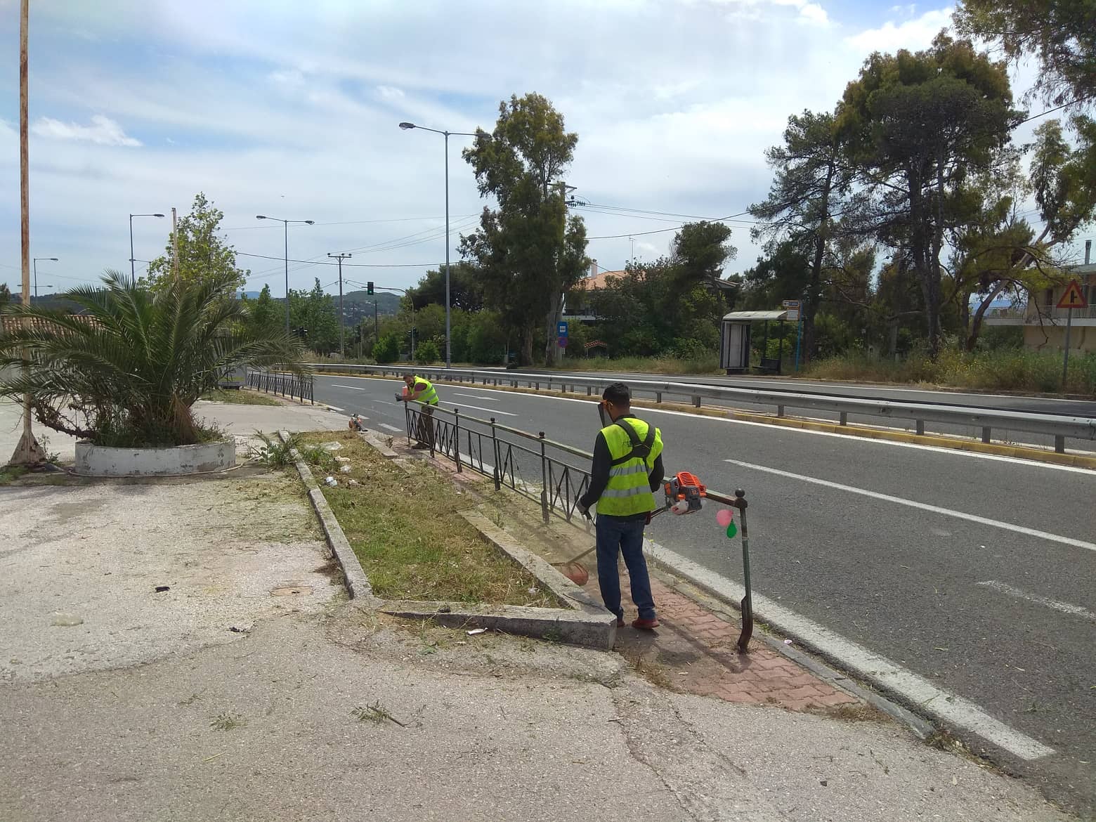 Αποψίλωση και καθαρισμός βλάστησης με θαμνοκοπτικό πεζού χειριστή