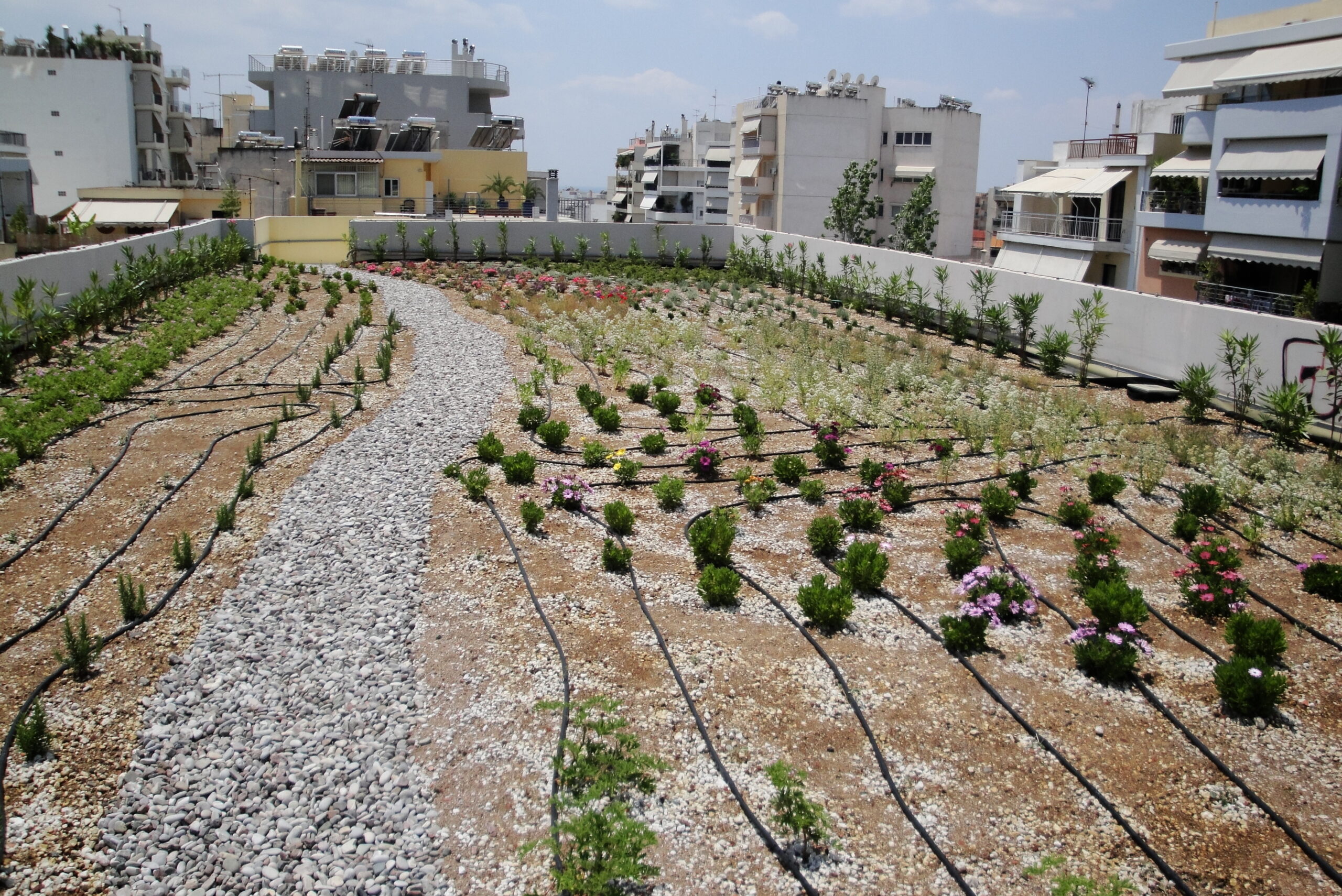 διάδρομος από βότσαλο στο φυτεμένο δώμα (Roof Garden)
